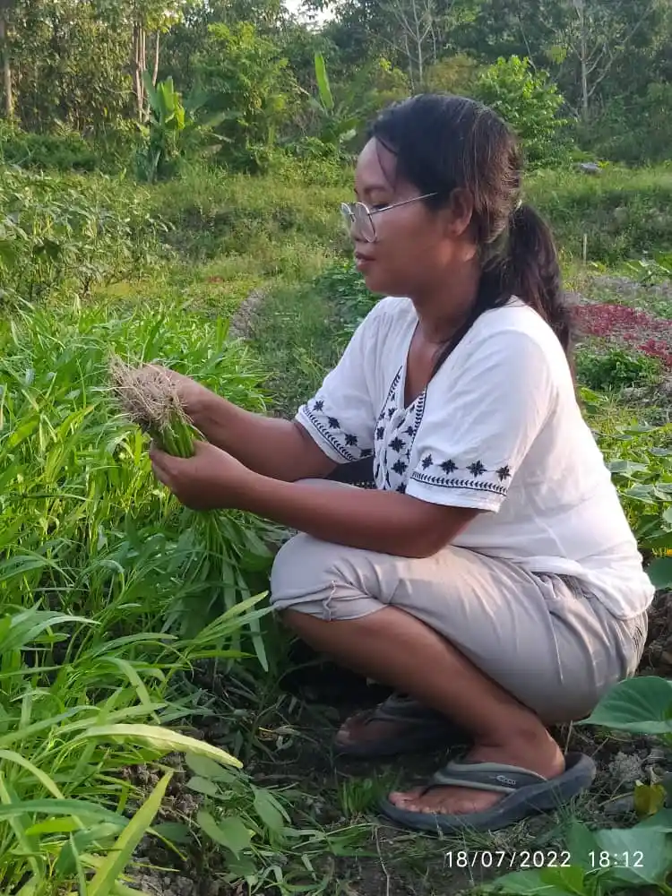 Sondang Erika: A Mother’s Desire for Better Education Led Her to be a Farmer at OA Organik 