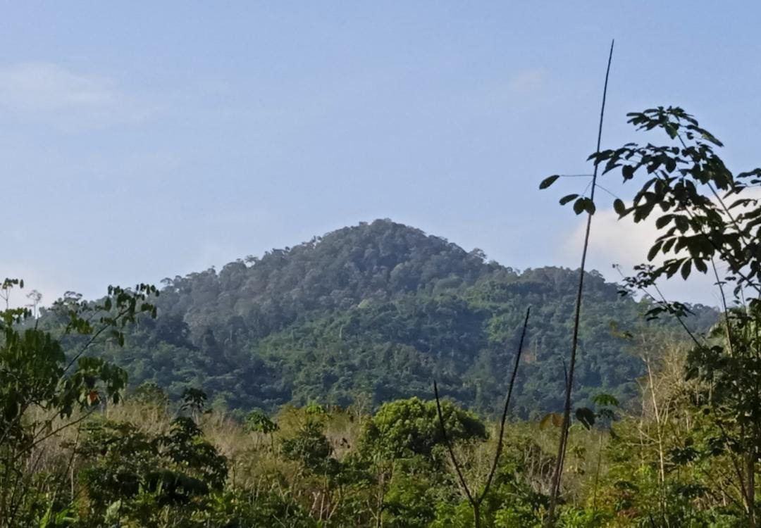 7 Things Orang Asli Would Like Malaysians To Know
