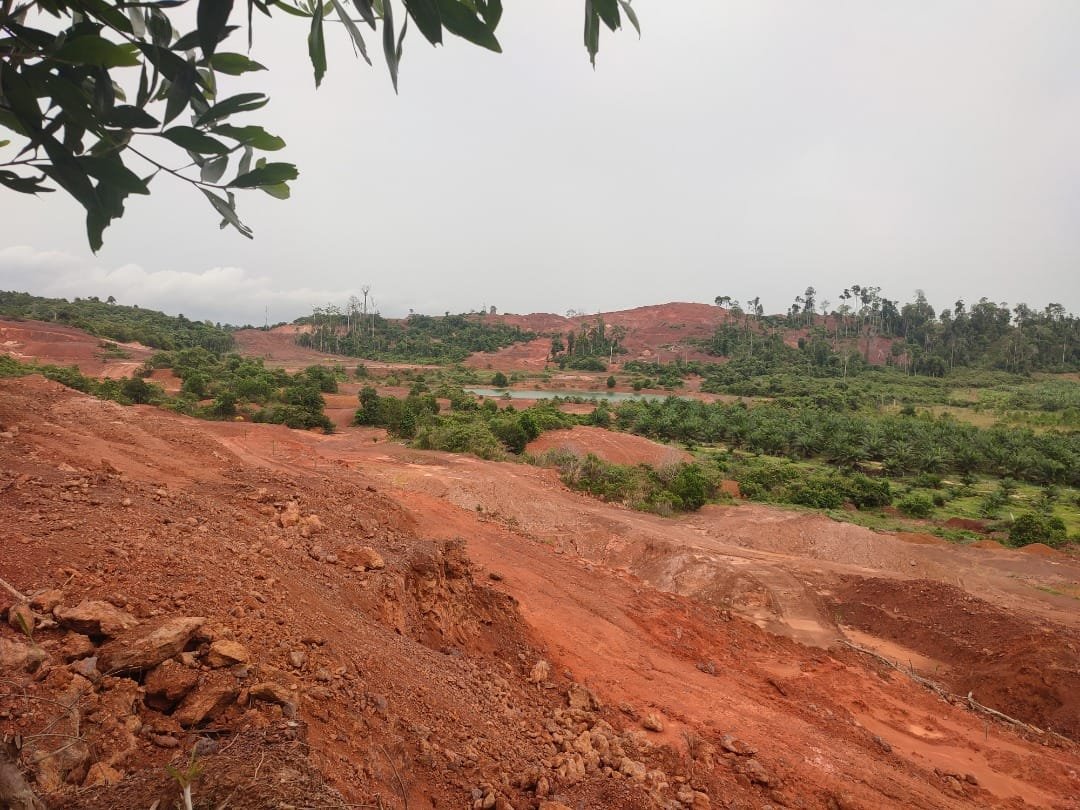 5 Ways Communities in Melai are Affected by Deforestation in Tasik Chini 