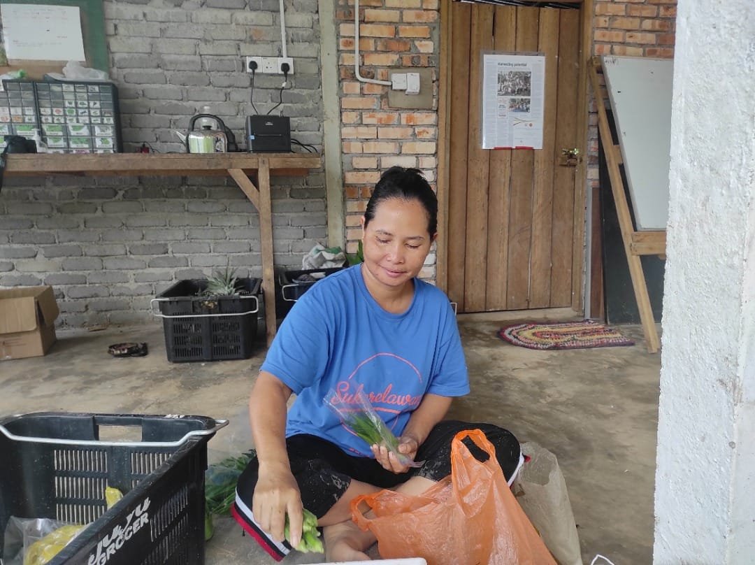 Better Health: The Impact of Healthcare, Habits, and Amenities in Melai